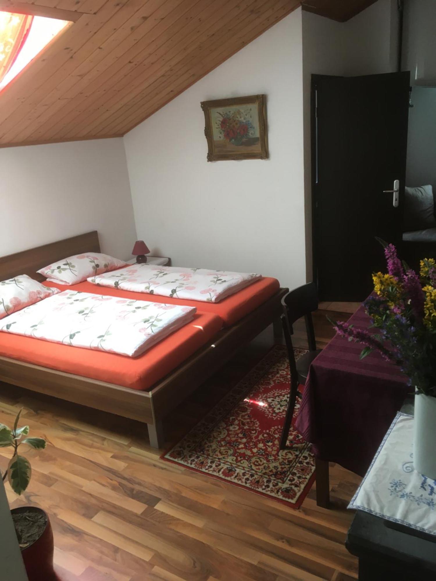 Pension Zur Freiheit 帕绍 外观 照片