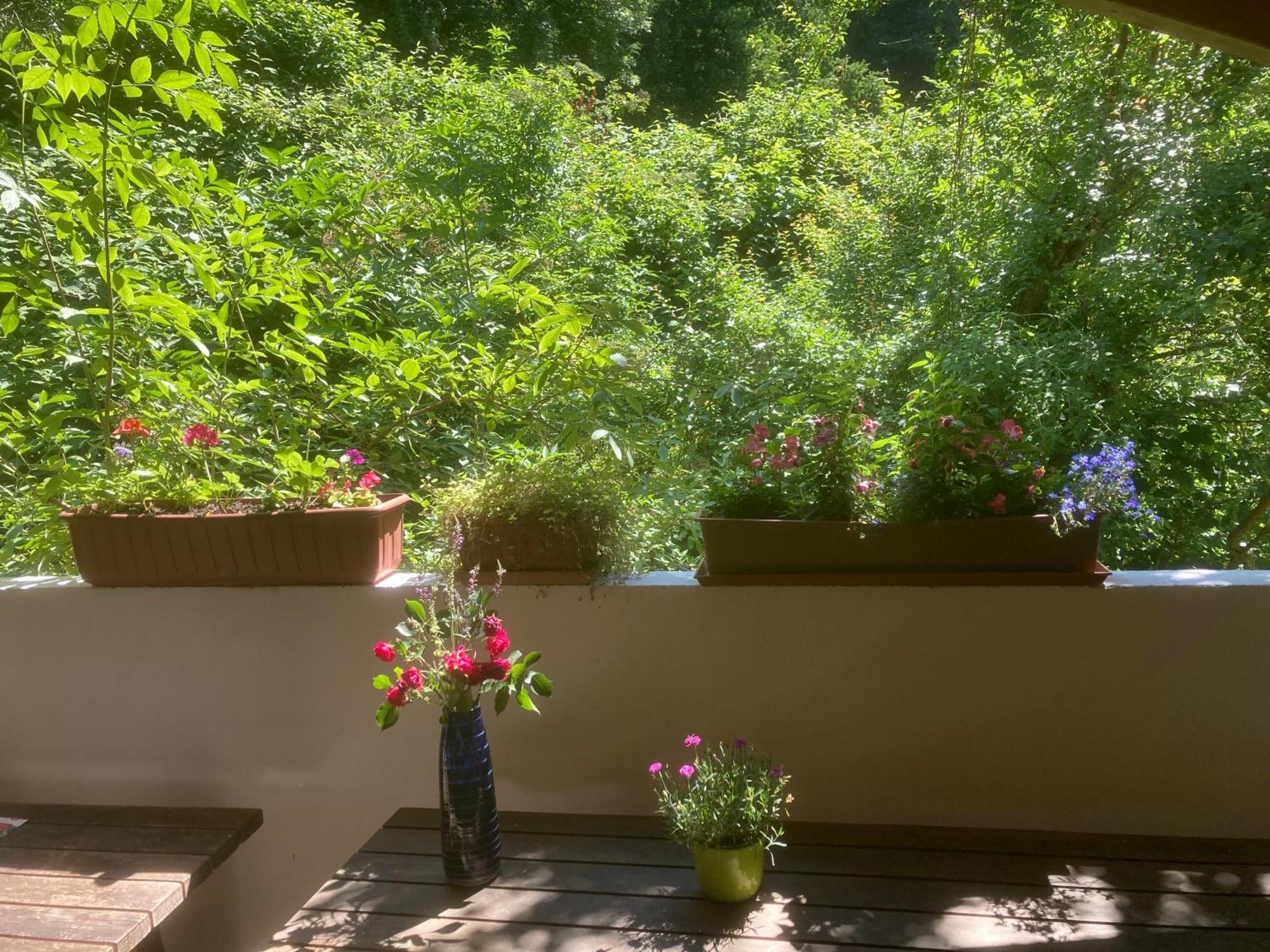 Pension Zur Freiheit 帕绍 外观 照片